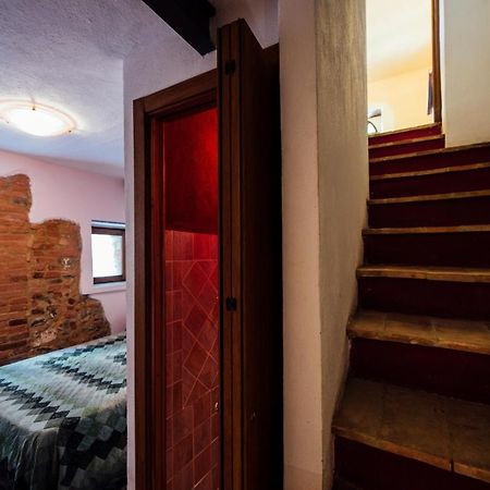 Agriturismo Il Noce Castiglione d'Orcia Bagian luar foto